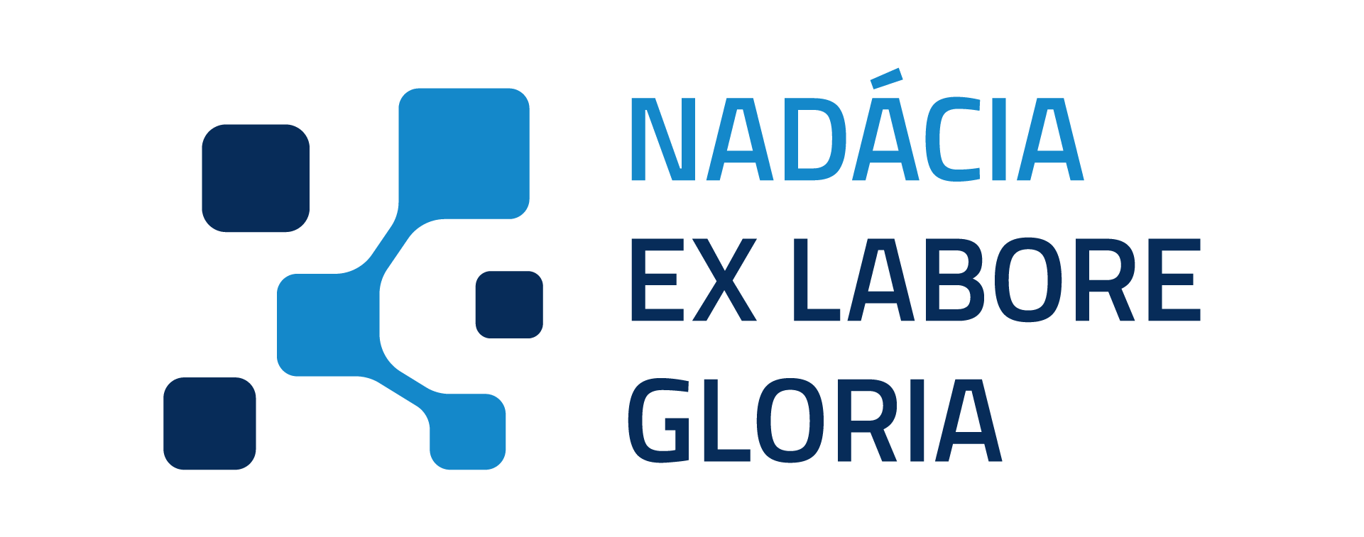 Nadácia Ex Labore Gloria